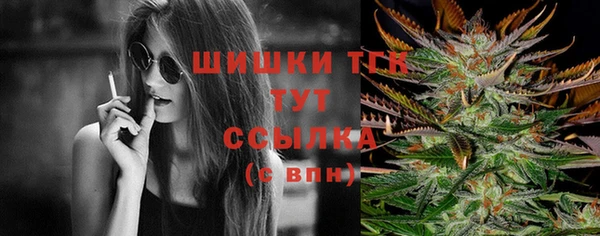 стафф Вязьма